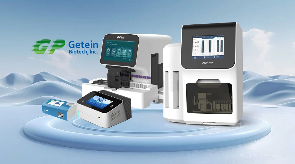 Ferritin Fast Test Kit