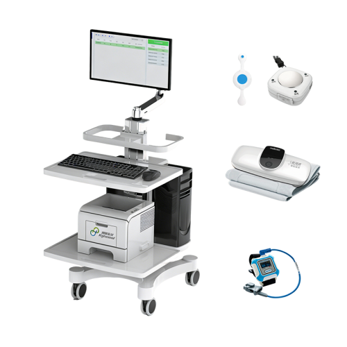 ведущий производитель 6-minute Walk Test
