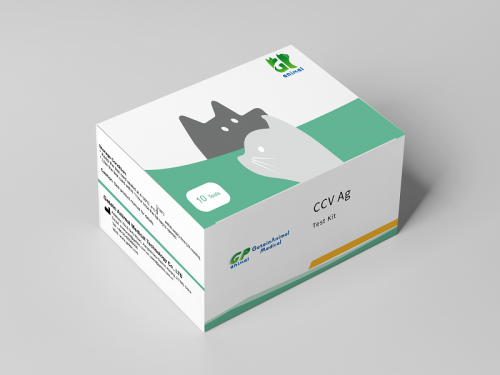 Canine Corona Virus Antigen (CCV Ag) Fast Test Kit