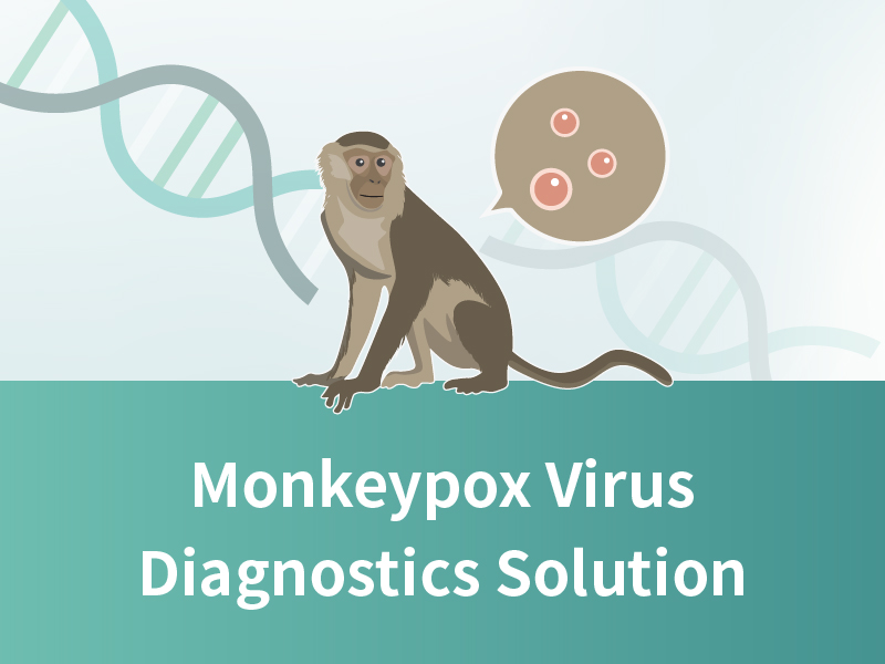 Решение для диагностики вируса оспы обезьян
