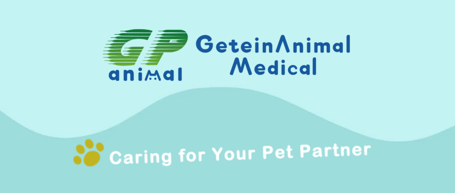 【Getein Animal】Уход за вашим питомцем-партнером