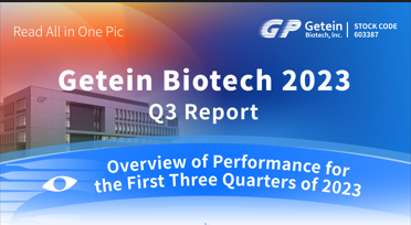 【Getein News】Отчет за третий квартал 2023 г. — читайте на 1 картинке